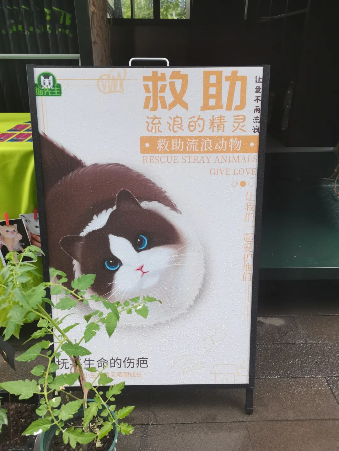 1661505449286665.jpg 垃圾分類運營方案、智能分類設(shè)備廠家.jpg